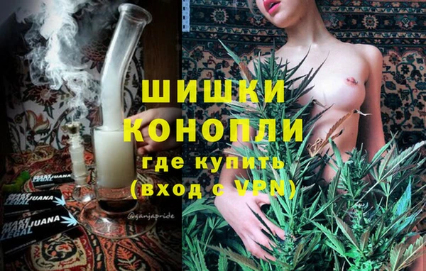 хмурый Лиски