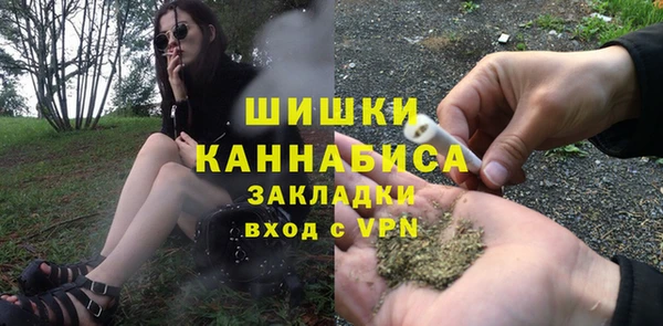 хмурый Лиски