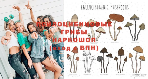 apvp Липки