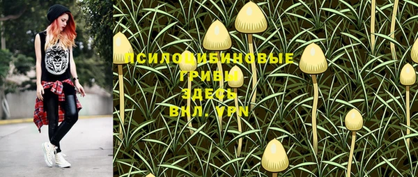 СК Лихославль